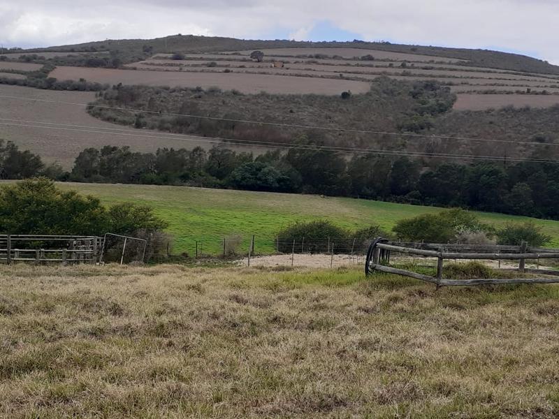 0 Bedroom Property for Sale in Albertinia Western Cape